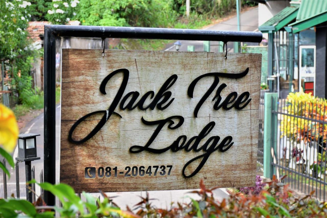 Jack Tree Lodge Kandy Dış mekan fotoğraf