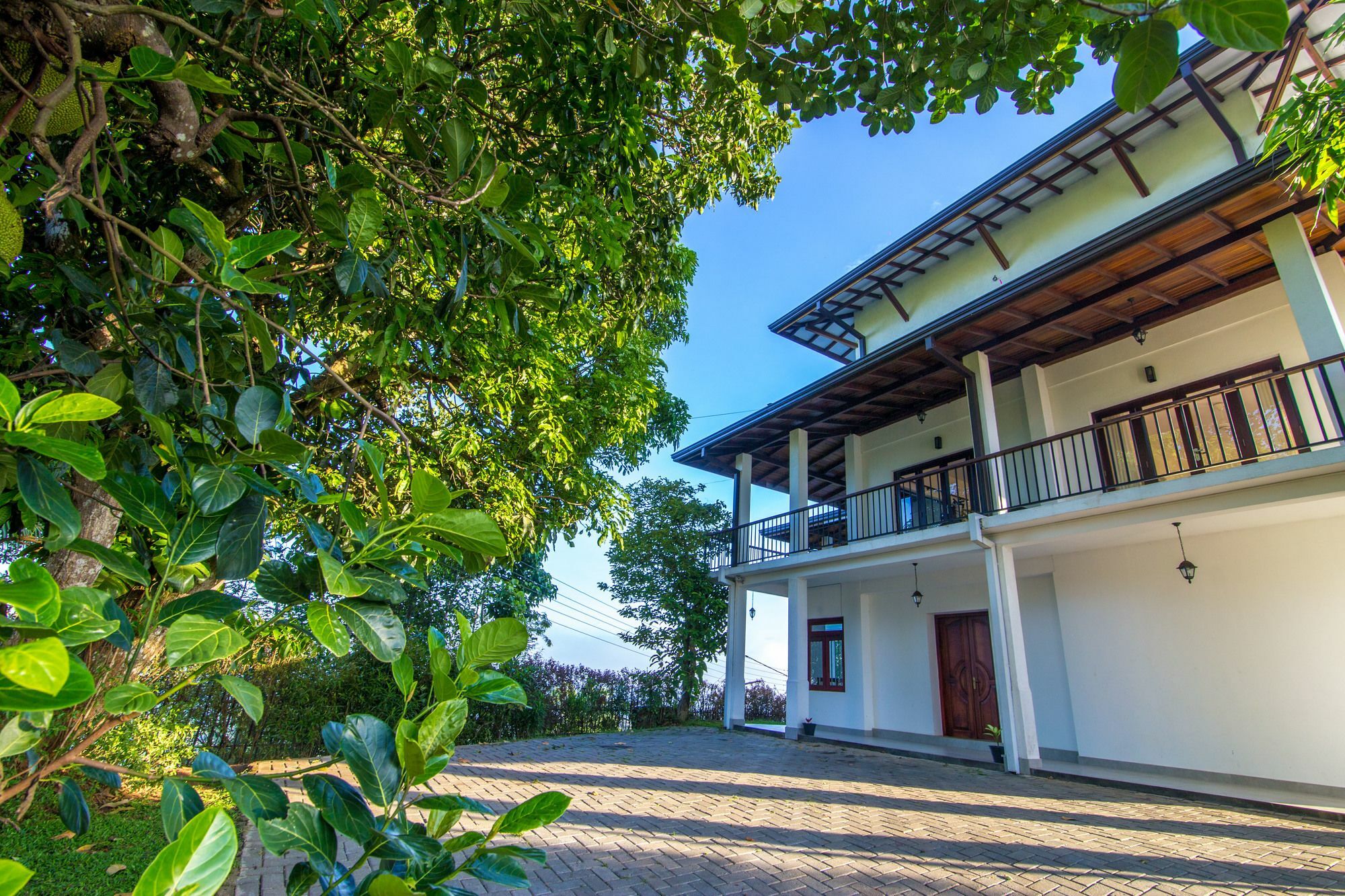 Jack Tree Lodge Kandy Dış mekan fotoğraf