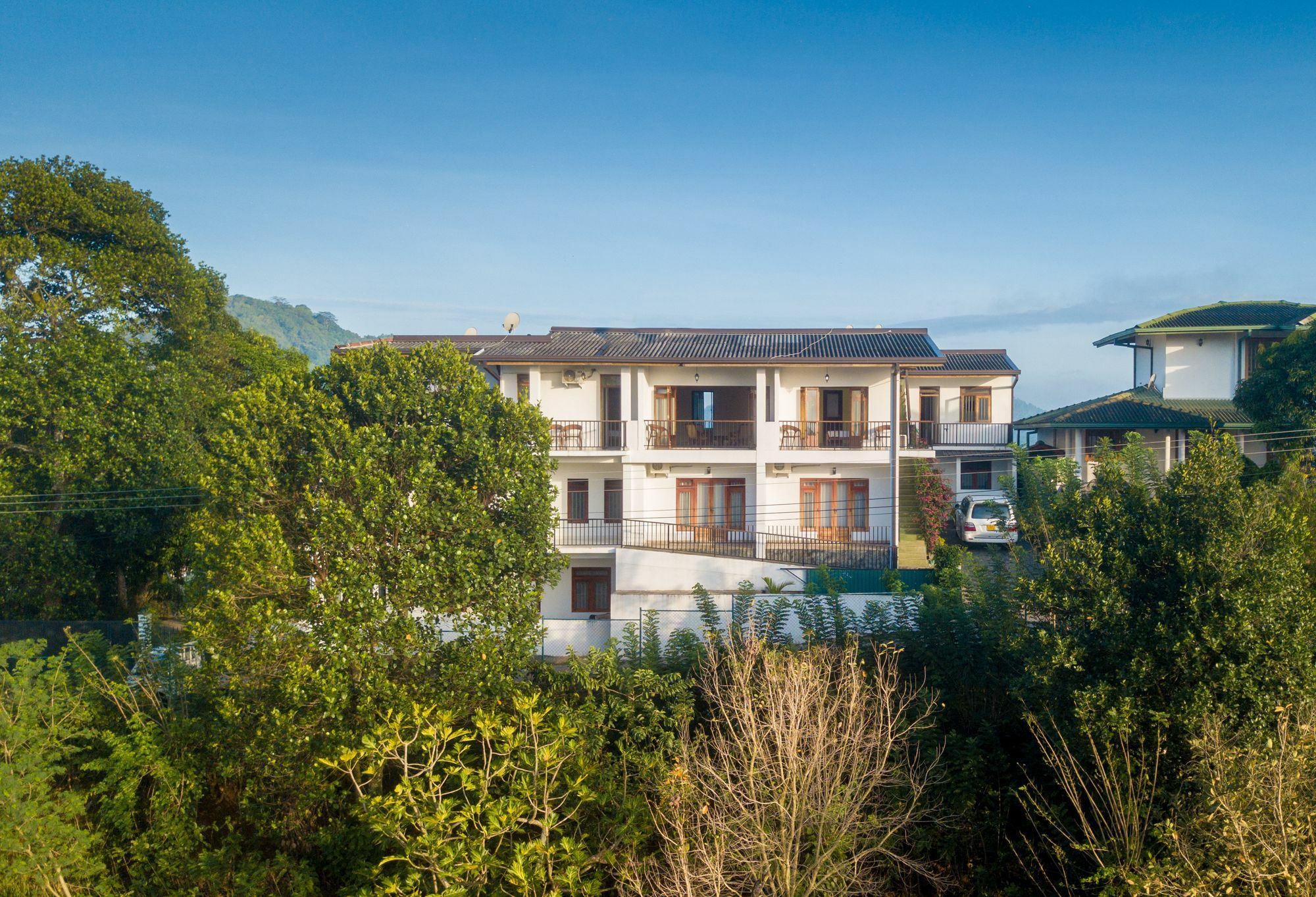 Jack Tree Lodge Kandy Dış mekan fotoğraf