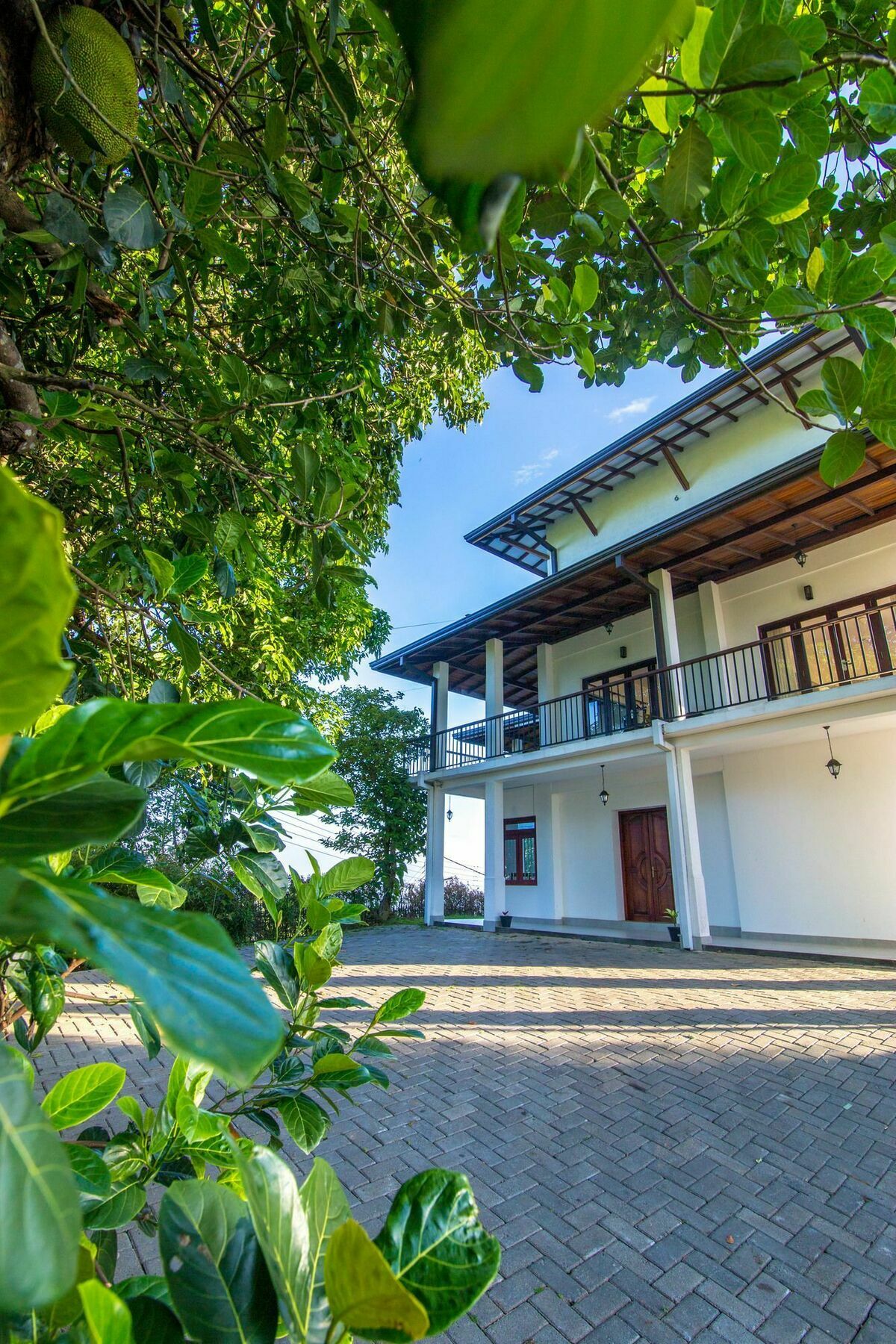 Jack Tree Lodge Kandy Dış mekan fotoğraf